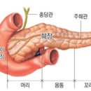 췌장암의 원인 증상 민간요법 좋은 음식 소개 이미지