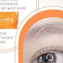영앤유