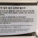 순천 기독교역사박물관 이미지