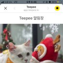 댕발소 이미지