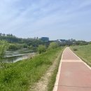 희망교 하단 | [런데이]런생아의 1주차 런데이 후기 (준비물, 대구러닝코스 추천, 사진 공유방법)