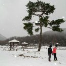 첫눈 - 청주시 청원구 | 첫눈