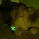 서울우유협동조합생명공학연구소 이미지