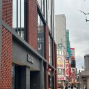 카사인 | 11월 말 홋카이도 여행 :: 삿포로 스스키노 숙소 추천 THE KNOT SAPPORO, 더 낫 삿포로