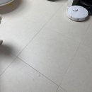 네모강아지 | 로봇청소기 추천 강아지 털 제거 최강! 로보락 Qrevo EdgeC 내돈내산 후기