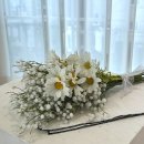 씨유천안성정점 이미지