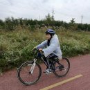 영광여자중학교 이미지