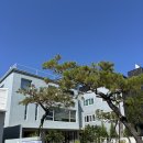 세븐일레븐대전신탄새여울점 | 대전 덕암동 마당 예쁜 라떼 맛집 카페 커피인터뷰 새여울 후기