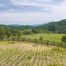 하늬목장 이미지