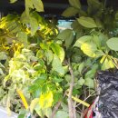 가서농장2 이미지