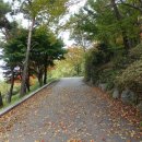 양평다나암병원 이미지