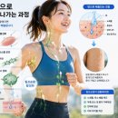 신진나이스