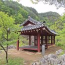 정선펜션 추천 하늘나리펜션 후기 (구미정계곡펜션·정선단체펜션으로 완벽했던 여행)