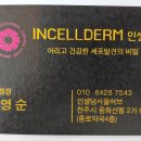 인셀덤 에덴