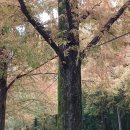 가술농장 이미지