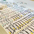 노글라스안경원 이미지