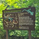 동천 산책길 오작교 앞 | 부암동 백사실계곡(백석동천) 산책 코스｜세검정·현통사·창의문까지 직접 걸어본 후기
