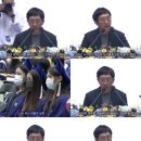 4월 3주 - 우면산, 다채로운 봄과 여름 기온, 남산, 올리브베러, 애니시다, 트데, 옷장 정리, 로우키...