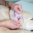 경주동물병원 이미지