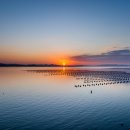 바다목장 이미지