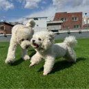 더 개편한세상 이미지