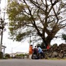 저지리경로당 이미지