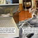 나랑놀개 이미지