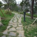 신촌숲 1 이미지