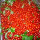 보리수어린이집 이미지