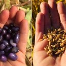 태학농장 이미지