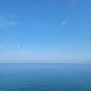 화합5길 | 일상기록_Aug 2025