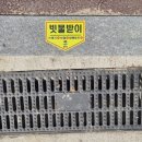 966 이미지
