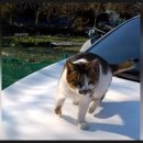 포스마트 이미지