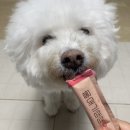 디어랩스 짜먹는 종합영양제 울애기쌩쌩 스틱 솔직 후기