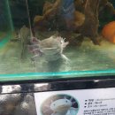 대전아쿠아리움 이미지