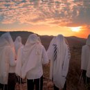 백의민족 이미지