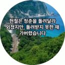 17)05. 莊子장자 外篇외편 第17篇 秋水(추수)(第05章)/사기 유죄,대공황,욕망 트럼프,美고속정,돈바스,연방지원금 컷,가시방석,수 이미지