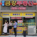 전국구공인중개사사무소 스포츠조선
