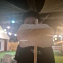 가평 애견동반 풀빌라 펜션 - 설레인 숙박 후기