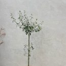 파인위크 경산점 이미지