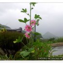 모모펜션민박 이미지