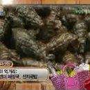 철물과일 이미지