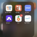 천안봉서중학교 | [천안펫시터]순애하멍 펫시팅 후기( 생애 첫 펫시터 고용)