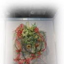 복남슈퍼 이미지