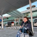 퍼피빌리지 이미지