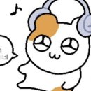 거창하개 이미지