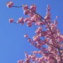 삼방동경로당 이미지