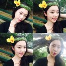 최송농장 이미지