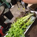 대복숯불구이 | 수원 우만동 맛집｜풍년숯불갈비 본점, 돼지갈비의 정석