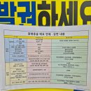 2015 광명동굴 대한민국 와인 페스티벌 | (경기도 광명) 광명동굴 - 내 짝꿍&amp;부모님과 함께 한...월드, 황금궁전, 와인동굴, 빛의 공간 관람 후기